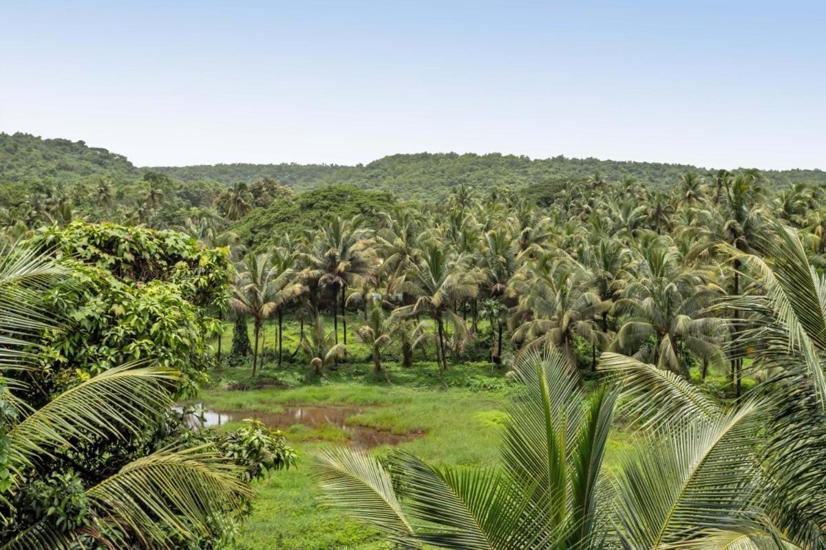 Ikigai Luxury Stays Goa Velha Exterior foto